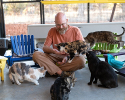Retired Volunteer Notices Shelter Cats Have Nowhere Cozy To Relax — So He Starts Building Tiny Chairs For Them